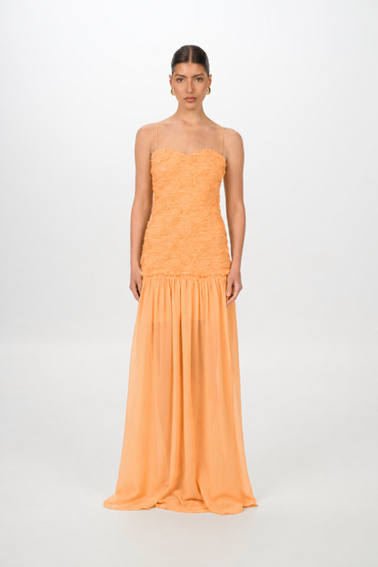 APRICOT RENATA DRESS