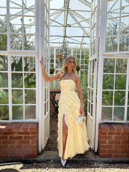 ALLAIRIE GOWN