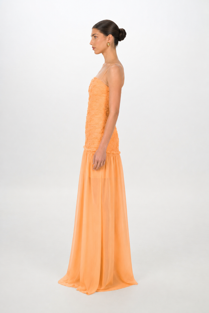APRICOT RENATA DRESS