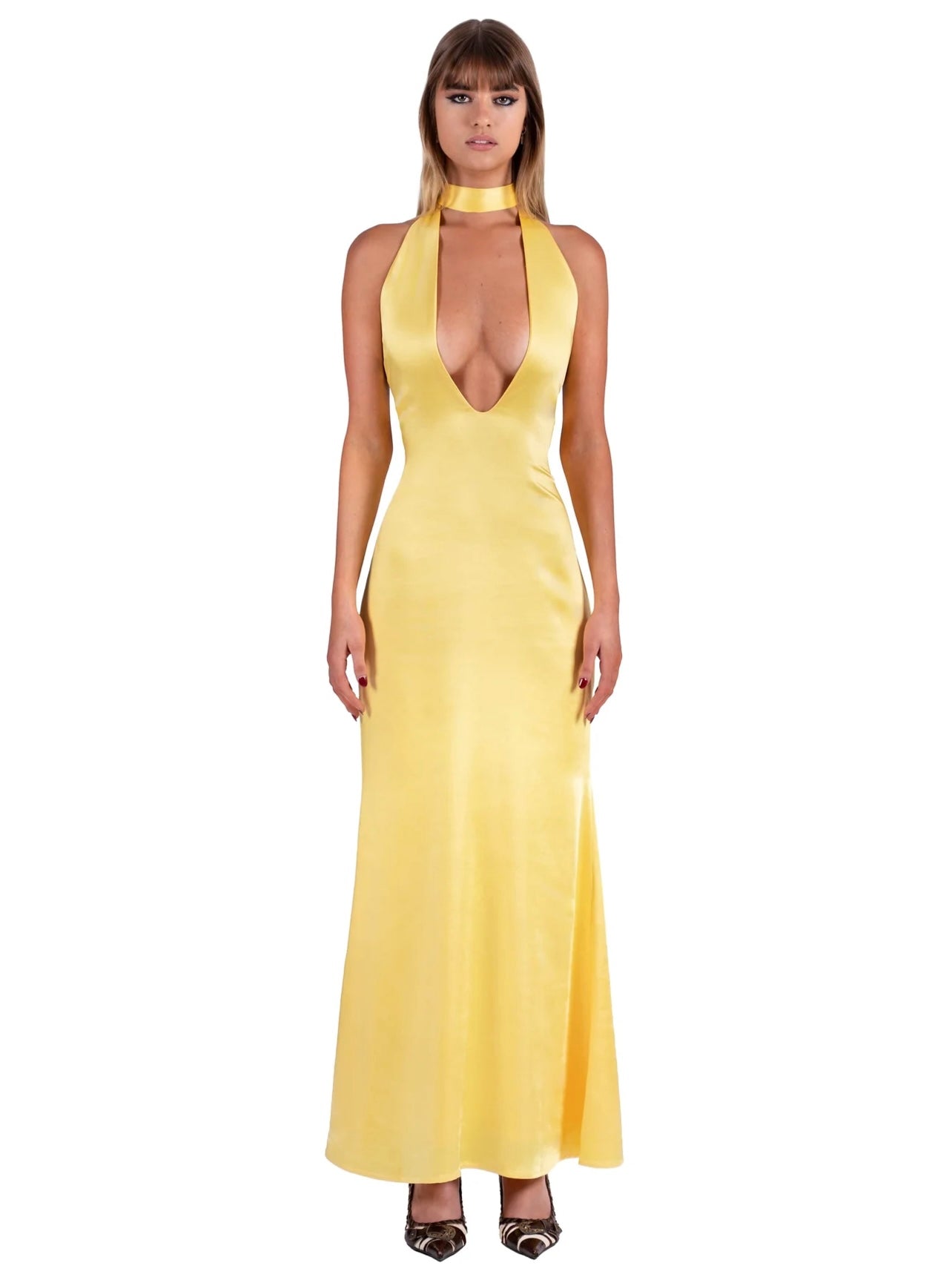 DAFFODIL MARGOT MAXI